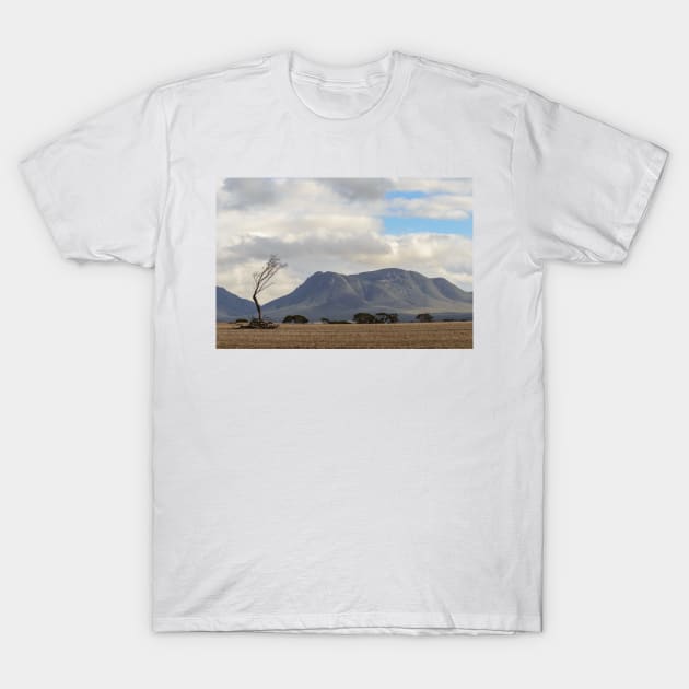 Bluff Knoll T-Shirt by fotoWerner